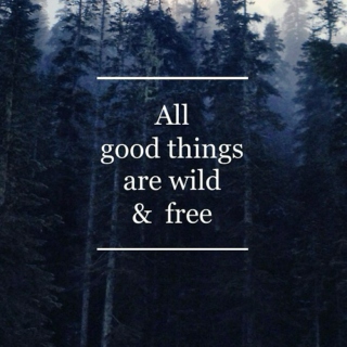All Good Things Are Wild & Free