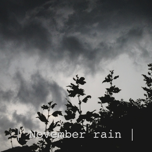 November rain | indie folk