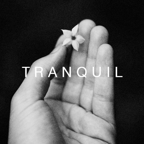TRANQUIL