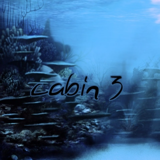 cabin 3
