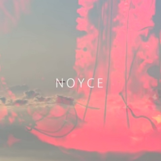 noyce