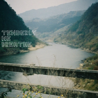 tenderly we breathe