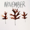 This Is My November, Not Yours
