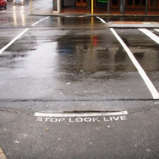 Stop Look Live