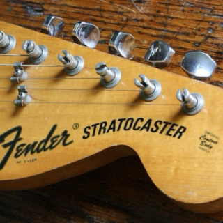 Holly Stratocaster