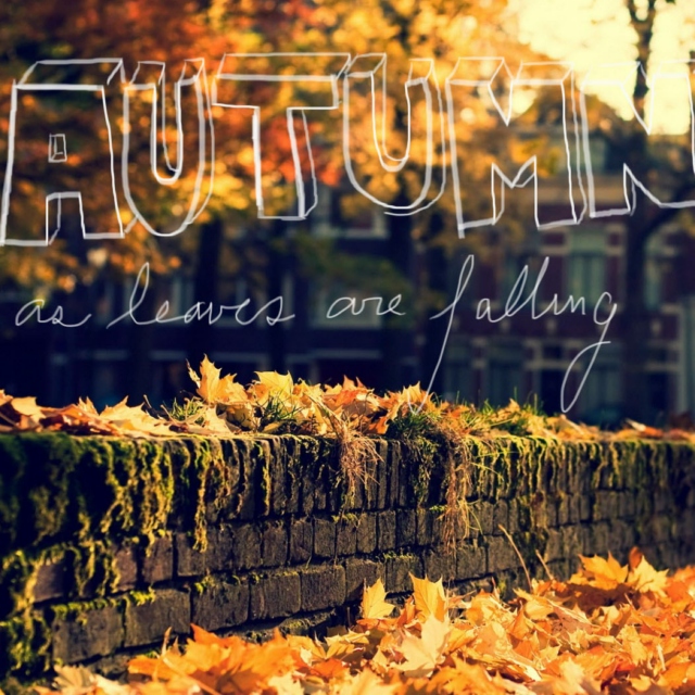 Autumn: As leaves are falling
