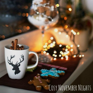 ❄ Cosy November Nights ❄