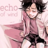 Echo of Wind