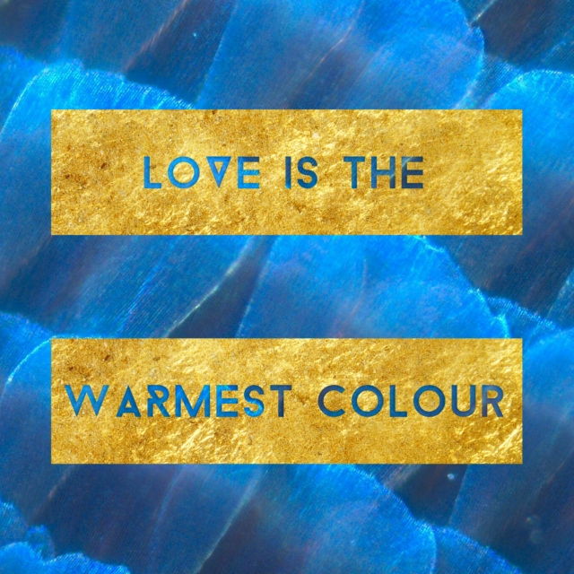 Love Is the Warmest Colour [Fall 2014]
