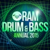 RAM Annual 2015