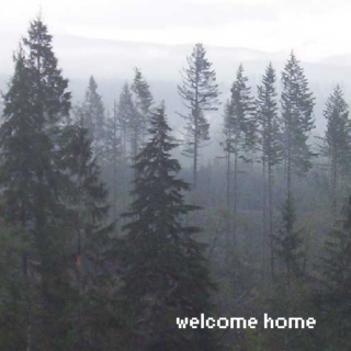Welcome Home [a gravity falls fanmix]