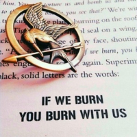 If We Burn You Burn With Us
