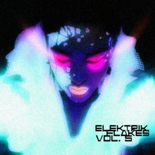 elektrik flakes vol. 5