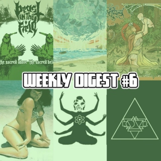 Weekly Digest #6