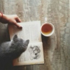 Cats and coffee