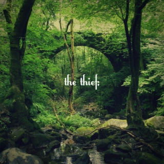the thief;