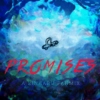 promises 