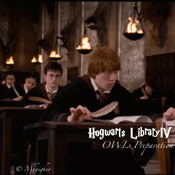 Hogwarts Library IV: OWLs preparation