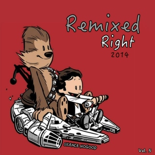 Remixed Right 2014, Vol. 5