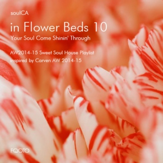 AW 2014-15 #12 in Flower Beds 10 - Your Soul Come Shinin' Through