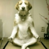 Meditating with dubstep...