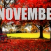 November (1)