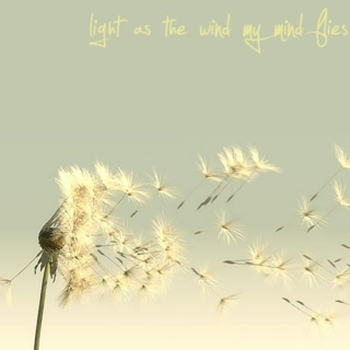 Light as the wind my mind flies