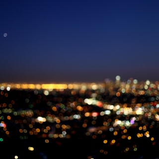 city nights // city lights