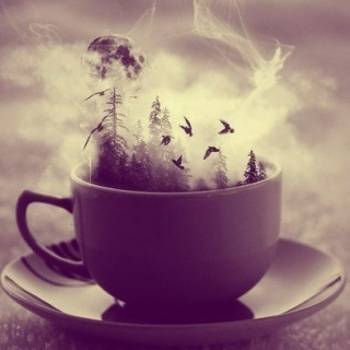 Have a cup of music