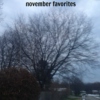 november favorites