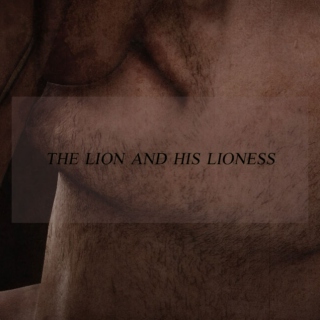 the lion and his lioness