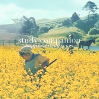 study companion | happy working songs