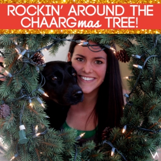 Rockin' Around The CHAARGmas Tree