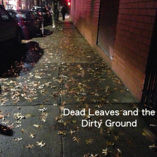 Dead Leaves and the Dirty Ground