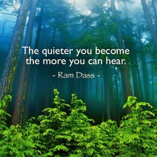 The Quieter You Become the More You Can Hear