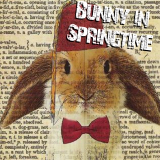 Bunny in Springtime