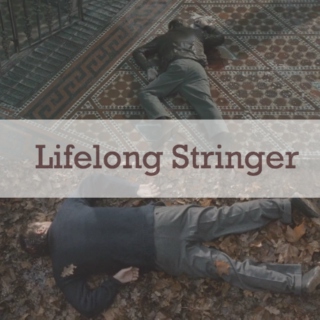 Lifelong Stringer