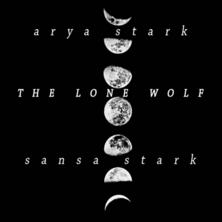 Lone Wolves: Arya and Sansa