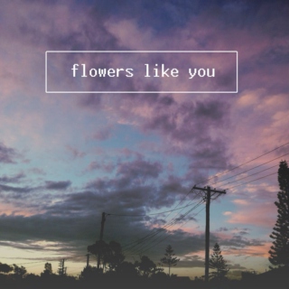 flowers like you