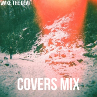 Covers Mix Volume #13
