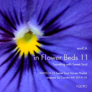 AW 2014-15 #24 in Flower Beds 11 - Traveling with Sweet Soul