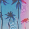 Palms wave