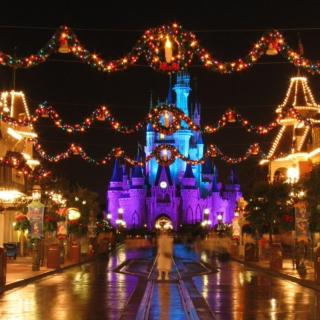 Christmas At Disney World 2014
