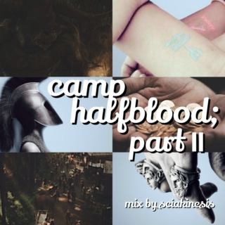 camp halfblood; part ll 