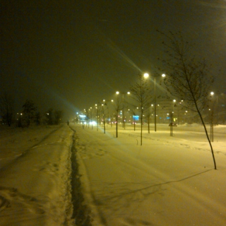 Winter's night