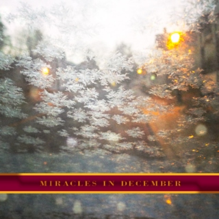 Winter Vol. 2 ❆ Miracles in December