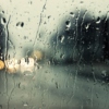 The Songs of Rainy Day