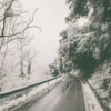 another winter playlist❆
