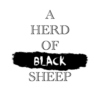 a herd of black sheep