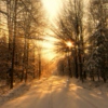 Sunlight in Winter Time